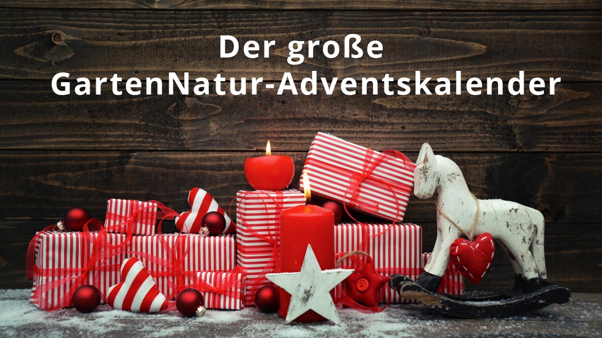 Adventskalender Gewinnspiel GartenNatur Foto: © S.H.exclusiv / Fotolia