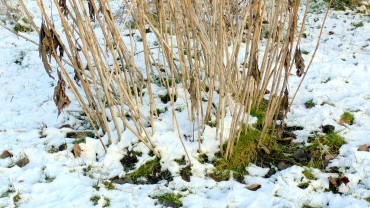 akb-staude-winter