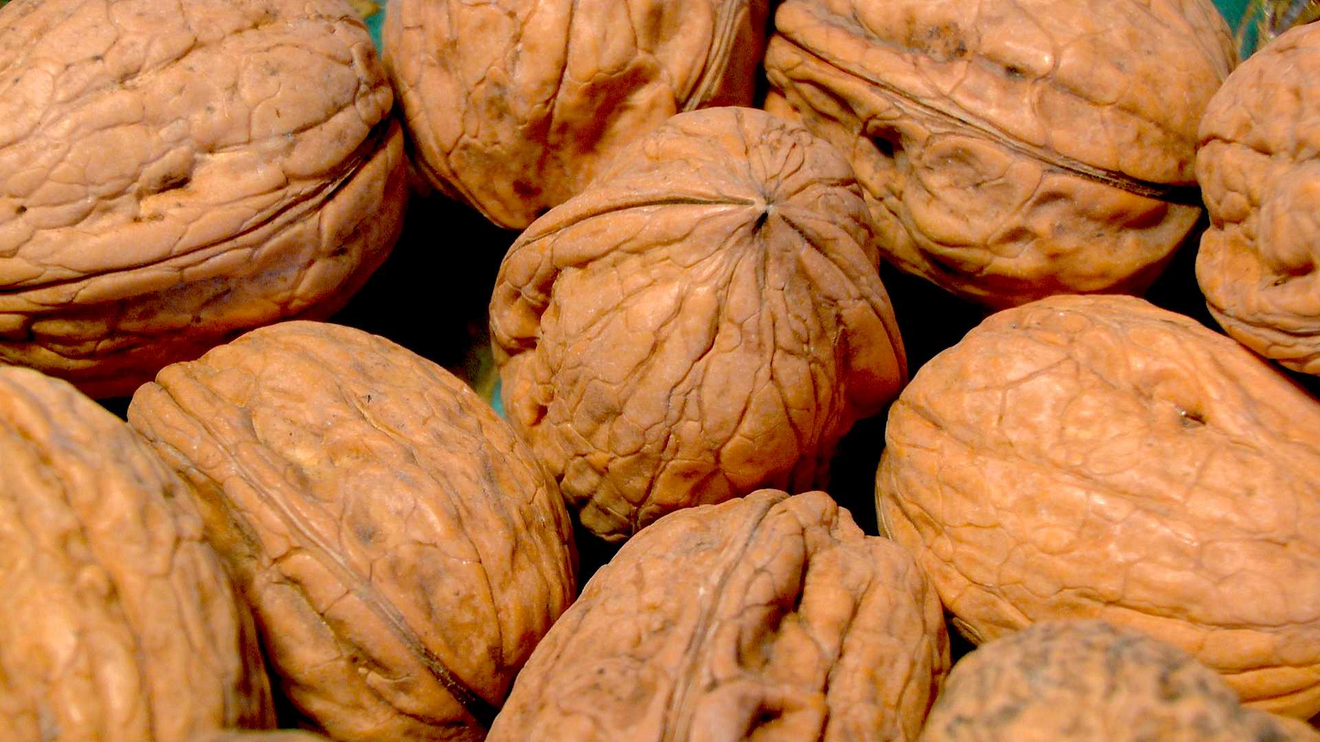 Walnuss Fruchtriegel - Rezepte Suchen