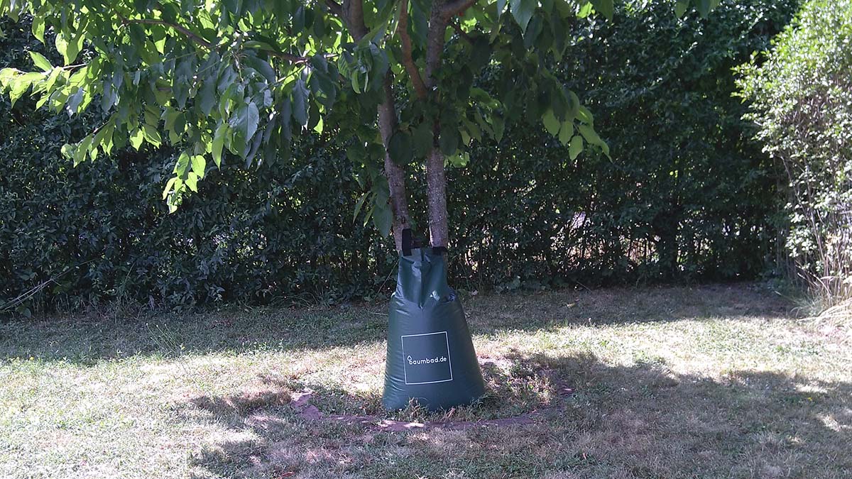 Bäume giessen - optimal mit einem Baumbewässerungssack