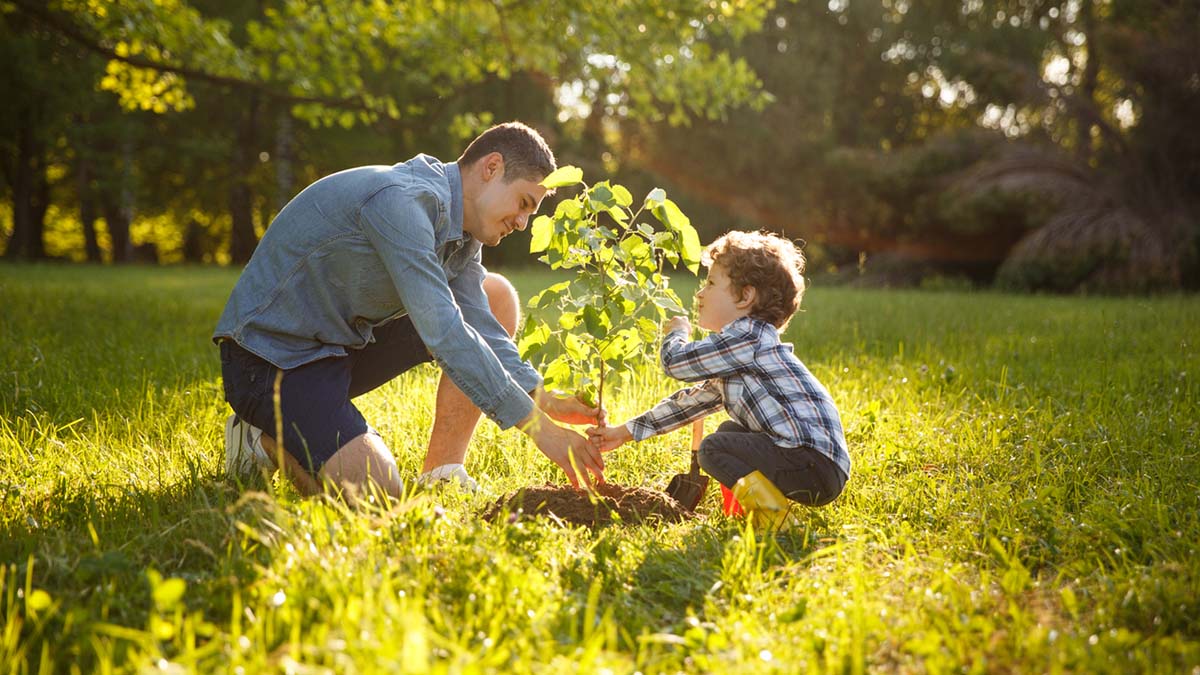 Vater und Sohn pflanzen einen Baum