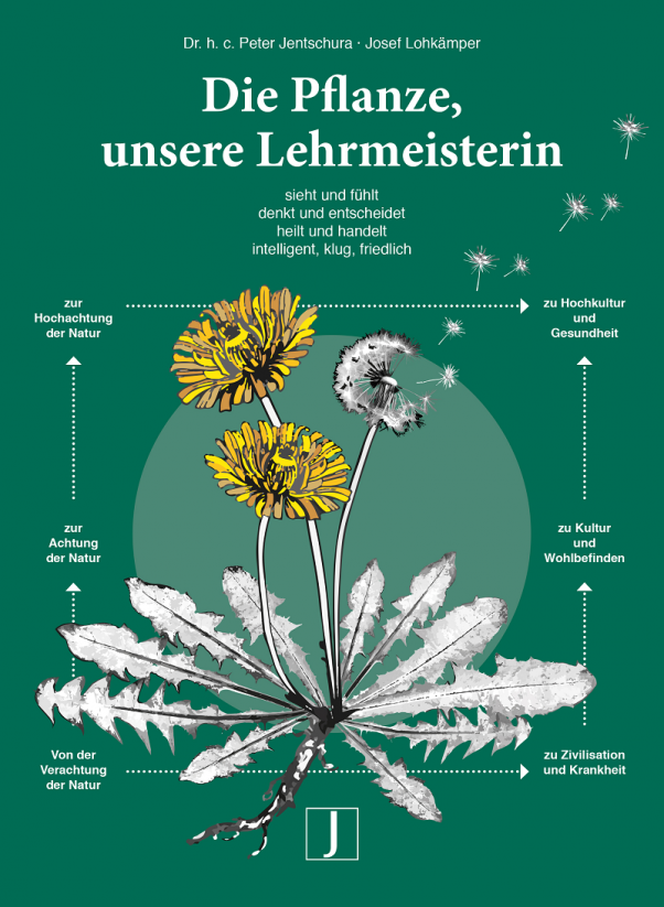 die-pflanze-unsere-lehrmeisterin
