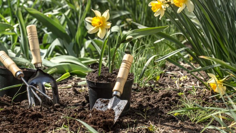 Gartenarbeit im Frühjahr GartenNatur
