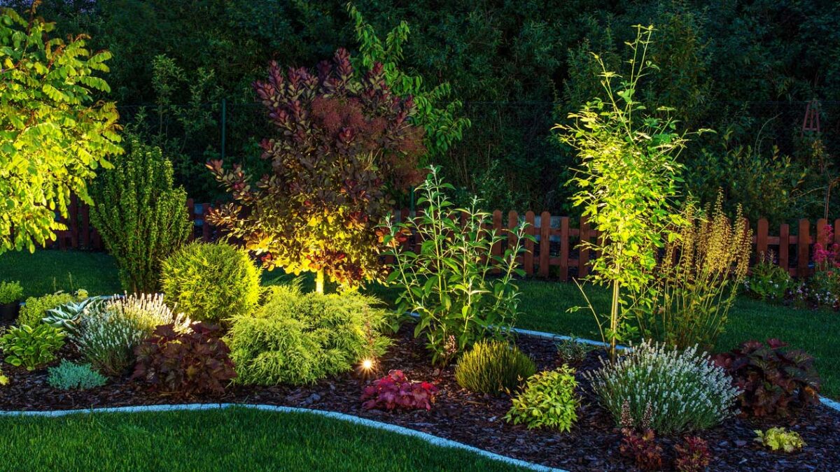 Mit LED-Lampen beleuchteter Garten