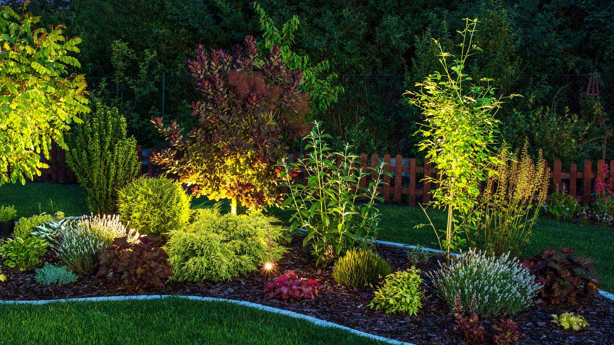 Illuminated Garden Mit LED-Lampen beleuchteter Garten