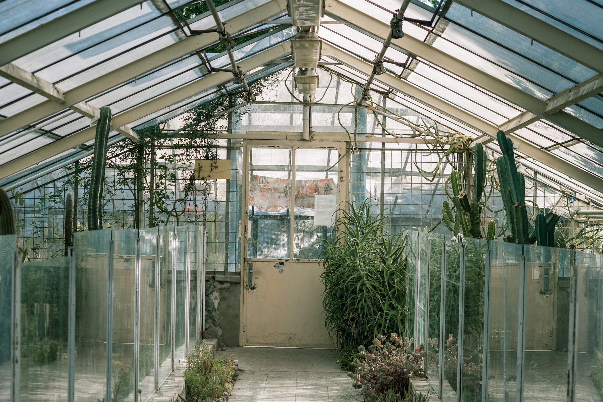 pixabay_glasshouse-734705_milivanily_1920