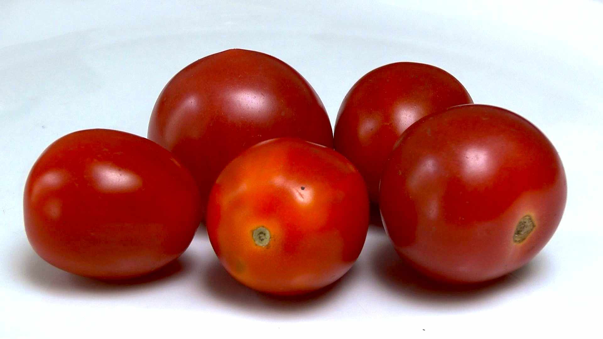 Tomate (Solanum lycopersicum) im Pflanzenlexikon >>