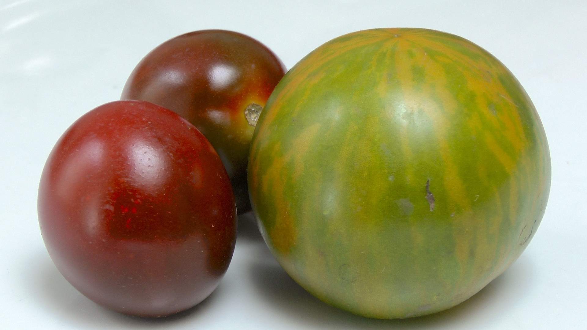 Tomate (Solanum lycopersicum) im Pflanzenlexikon >>