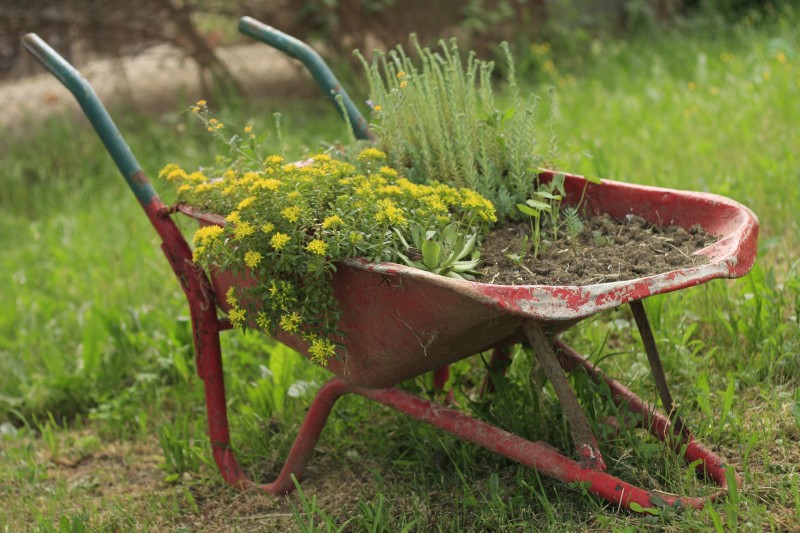 wheel-barrow-1168587_1920 Meist wird eine Schubkarre genutzt, um Erd- und Pflanzenmassen zu bewegen. Hier dient der Klassiker als bepflanztes Deko-Element. pixabay.com © Ikaika (CC0 Public Domain)