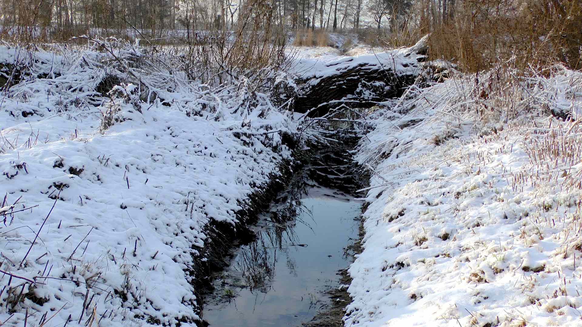 winterlandschaft-schnee